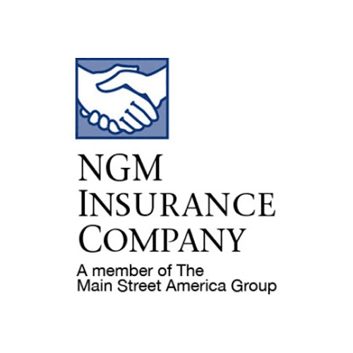 NGM-MSA Group