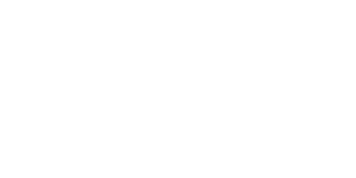 A Davis and Towle Group Agency - Logo 500 White
